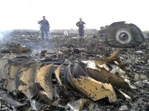 wreckage of Malaysia Airlines plane crash in Ukraine